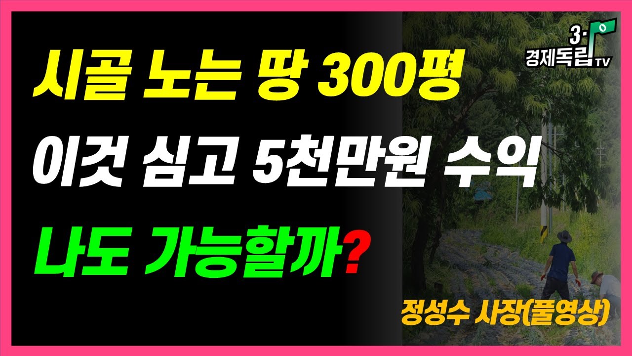 [속보] 놀고 있는 시골 텃밭 300평! 이것 심고 5천만원 수익 대박!! 나도 가능할까? ]#3.1경제독립tv