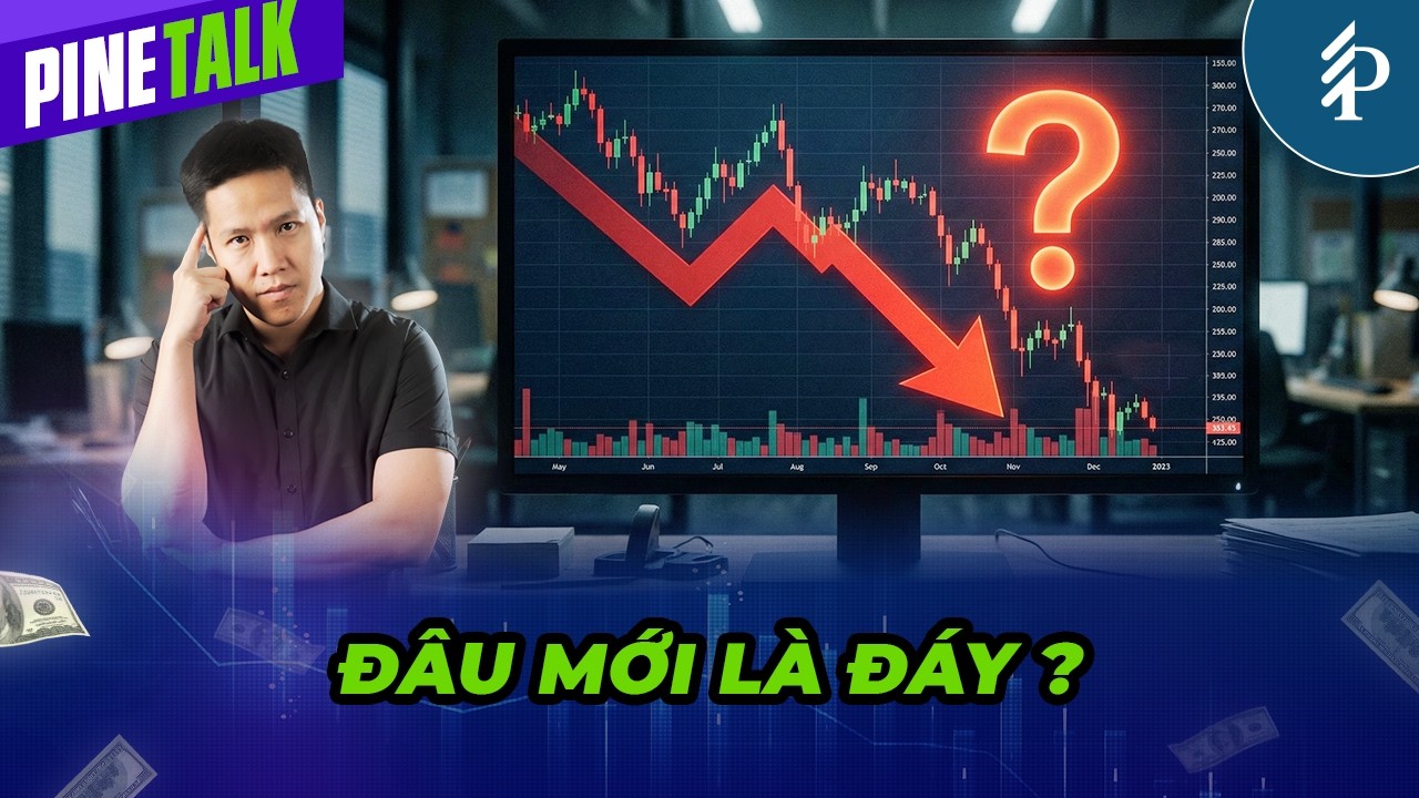 Thị trường bán tháo diện rộng và hành động của chúng ta? | Livestream Pinetalk