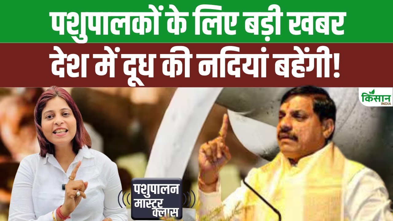 Dr. Ambedkar Kamdhenu Yojana: खोलें गौशाला लाखों का लोन और जमीन दे रही है सरकार। Dairy Farming