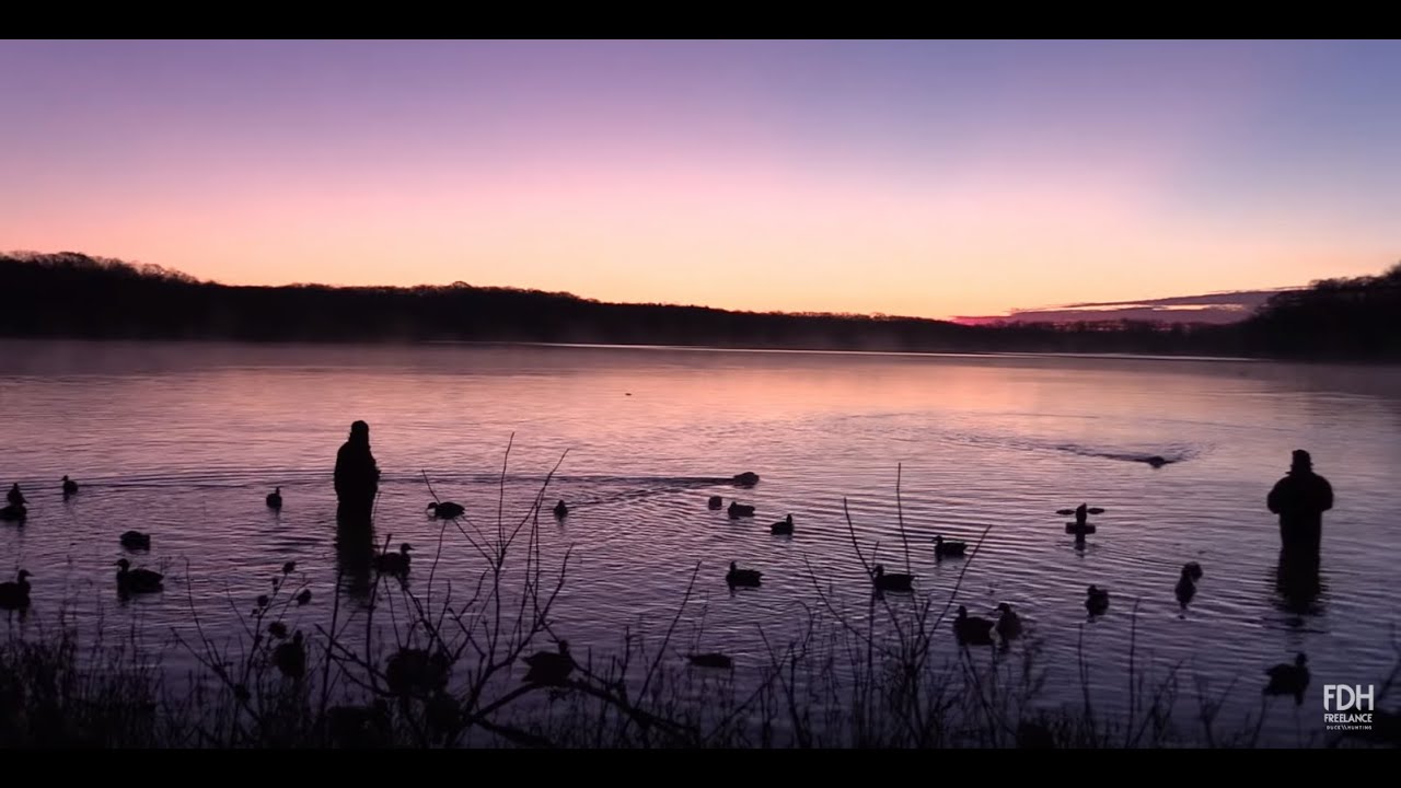 Duck Hunting 2018: Swimmers