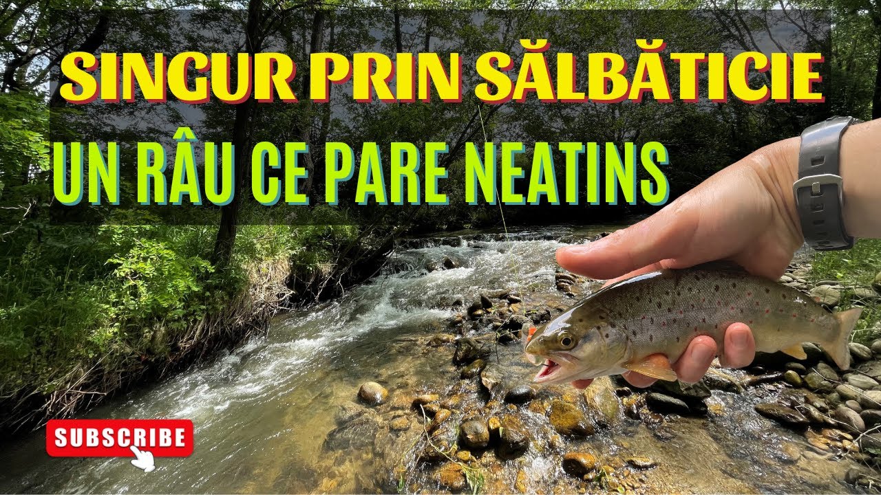 Caut PĂSTRĂVUL pe un RÂU NOU!