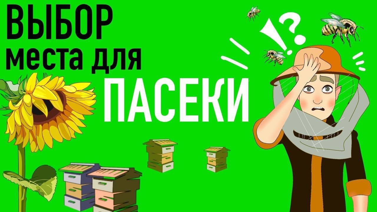 Как искать место для пасеки?