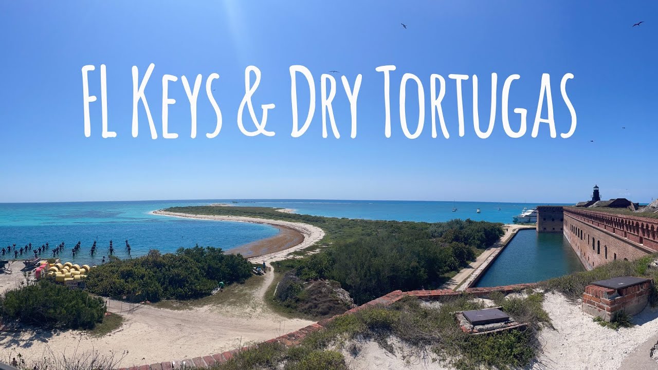 Snorkeling @ Dry Tortugas & Florida Keys 🐟🦈🐢 Goliath Groupers, Hammerheads & Reef Sharks April '25