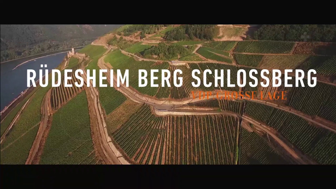 Rüdesheim Berg Schlossberg VDP.GROSSE LAGE Balthasar Ress