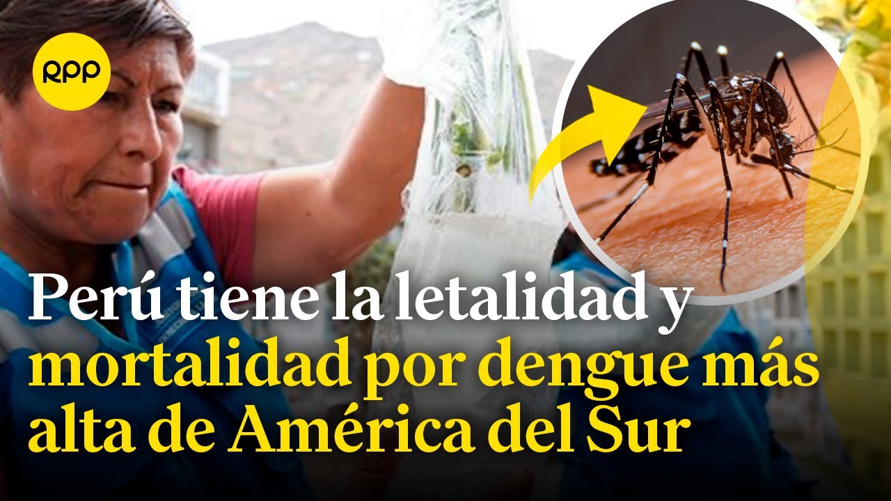 Dengue: Perú es el país que tiene la letalidad y mortalidad más alta de América del Sur