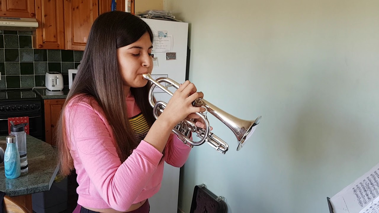 Rusalka's song to the moon cornet solo (Dvorak)