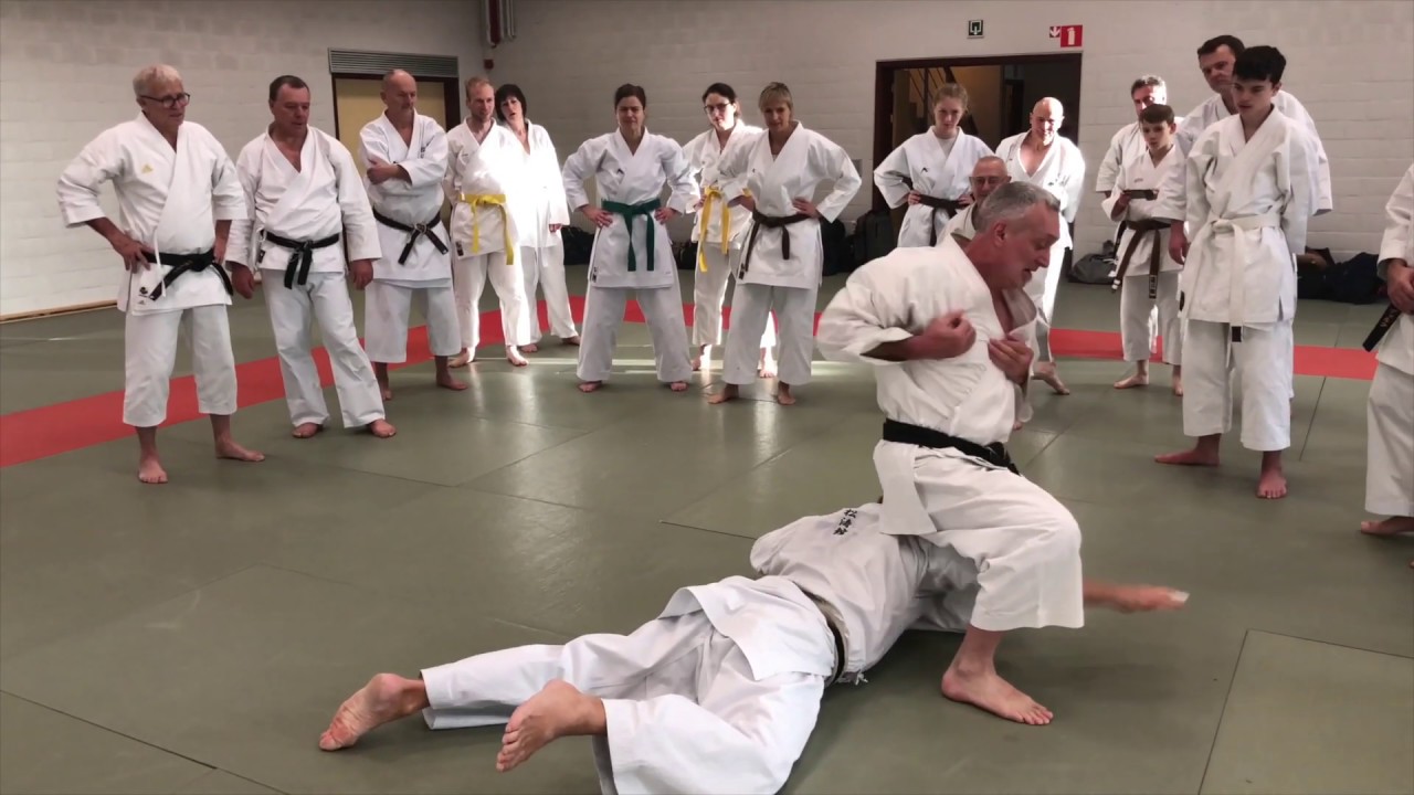 From Bassai Sho. Haito gedan uke