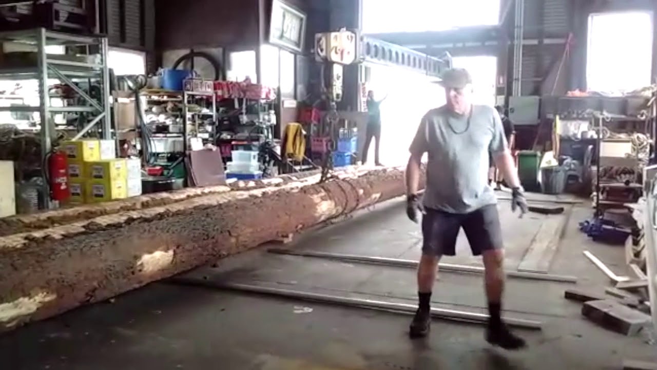 Logs Delivery for Duyfken Masts