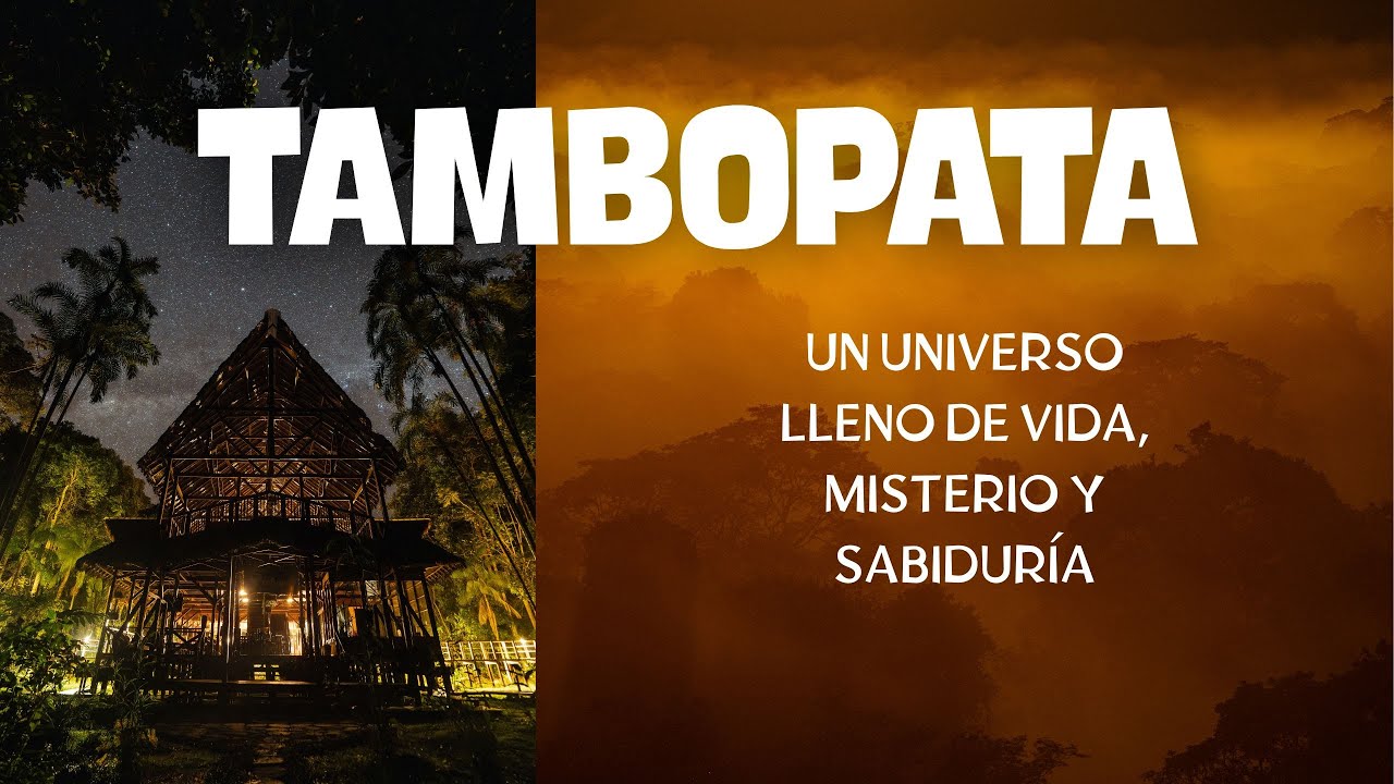 Descubre Tambopata; una reserva en las profundidades de la Amazonía Peruana 🌳