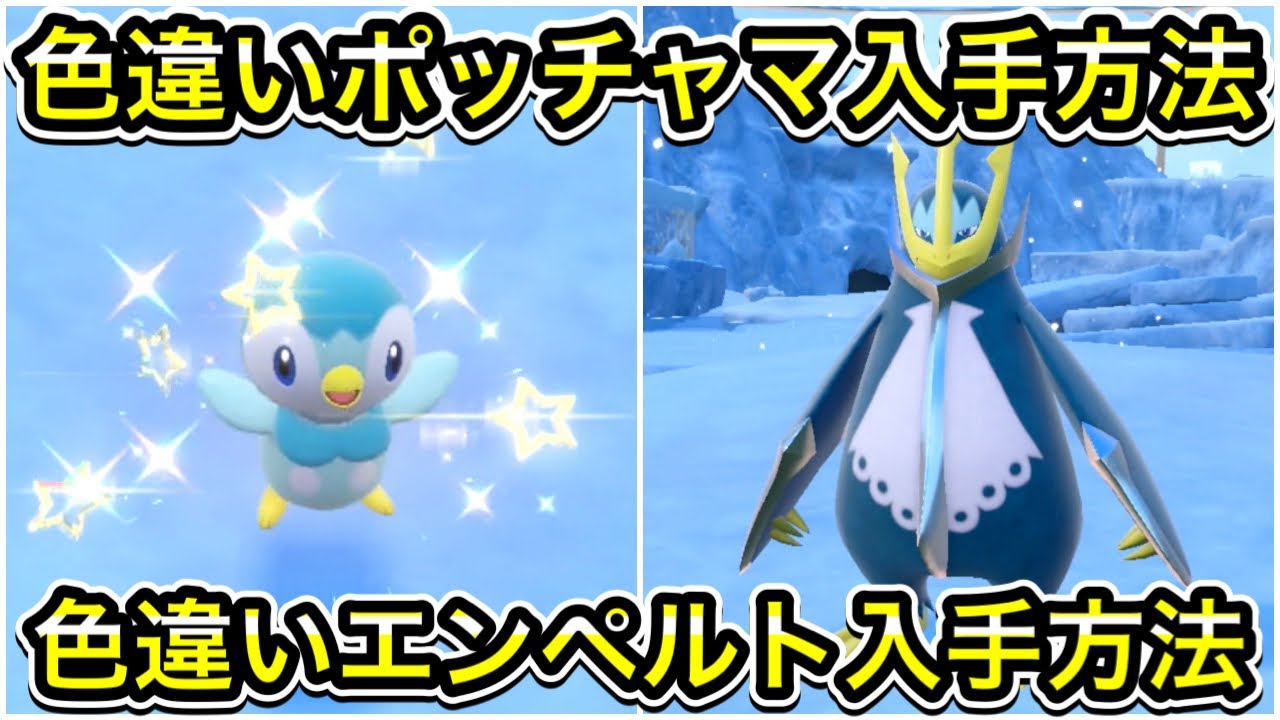 【ポケモンSV】色違いポッチャマ入手方法！色違いエンペルトの入手方法