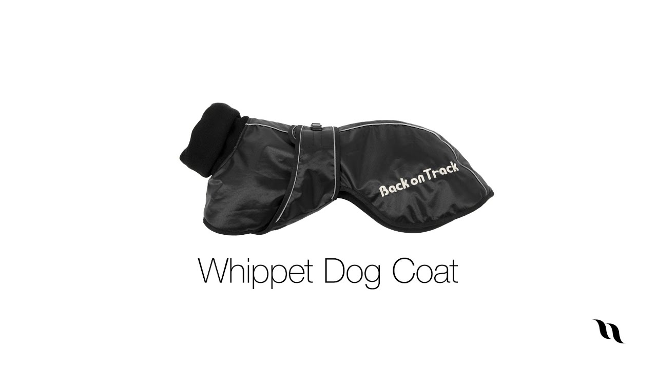 Whippet Dog Coat from Back on Track