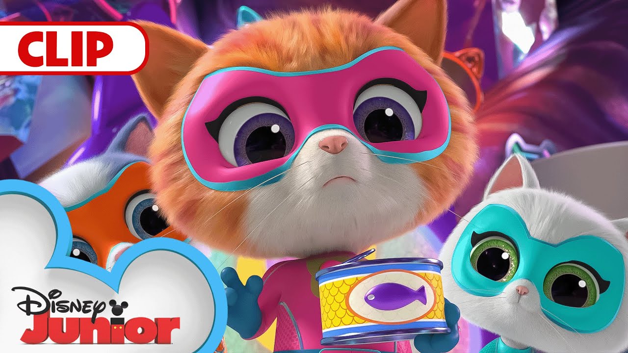 Zsa-Zsa Steals all the Oranges 🍊| SuperKitties | @disneyjr​