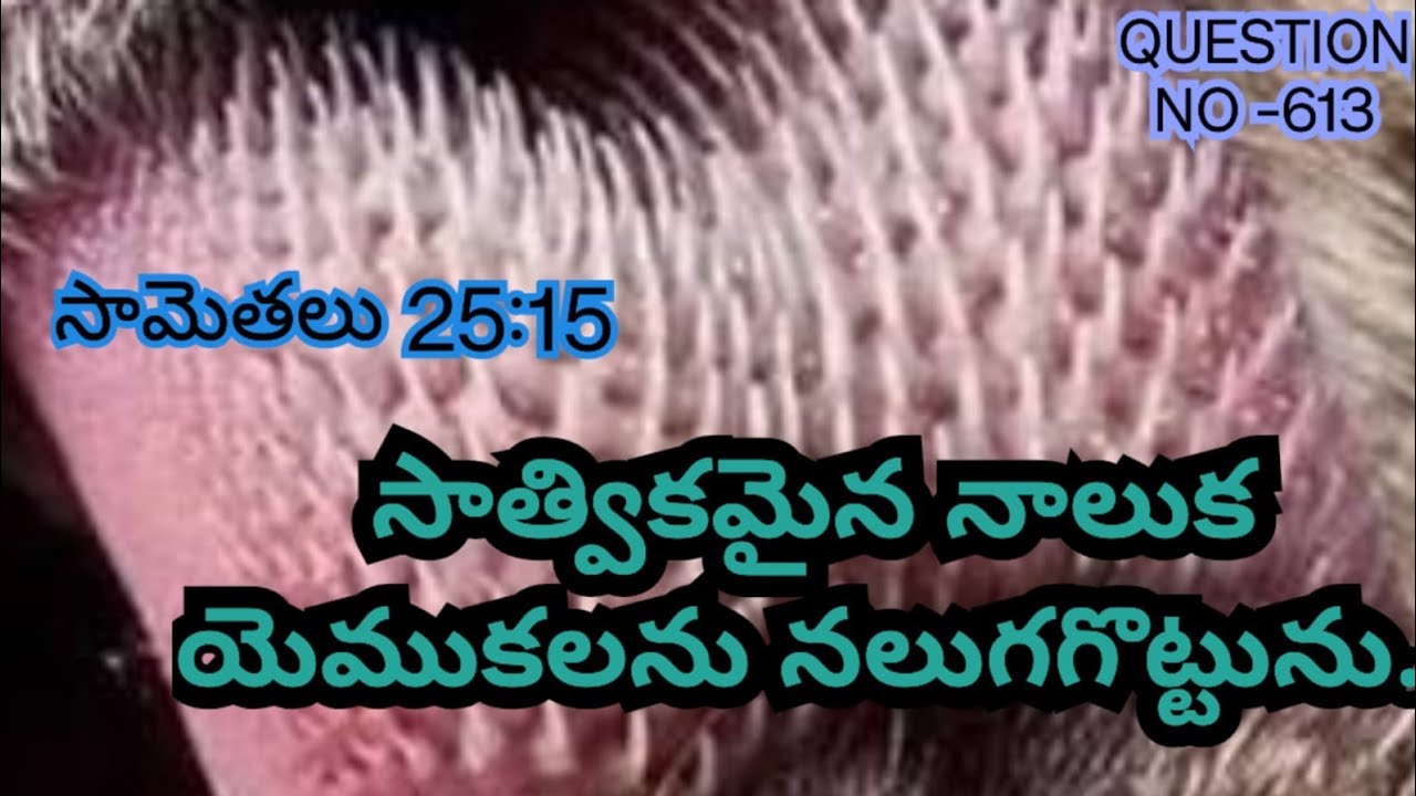 సాత్వికమైన  నాలుక  ఎముకలను  ఎలా  నలుగగొ డుతుంది?