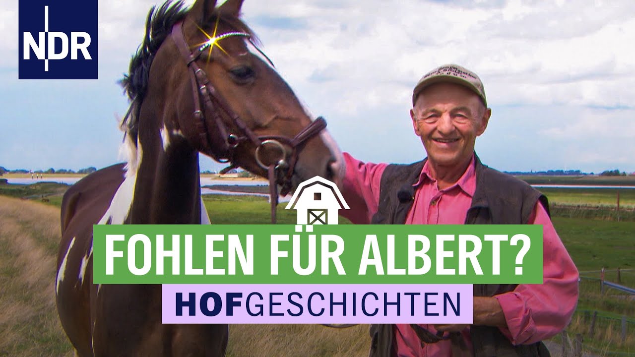 Tierarzt bei Alberts Pferden | Hofgeschichten (151) | NDR auf&rsquo;m Land