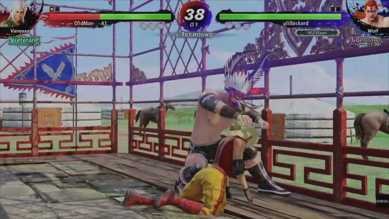 Wolf Hawkfield EXCELLENT! Combos and throws! Virtua Fighter 5 Ultimate Showdown vfes wrestling