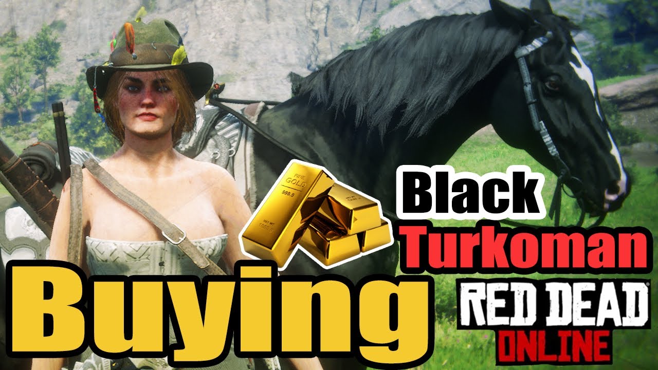 (buying the Black Turkoman horse)Red Dead Redemption Online, no gameplay, purchasing only