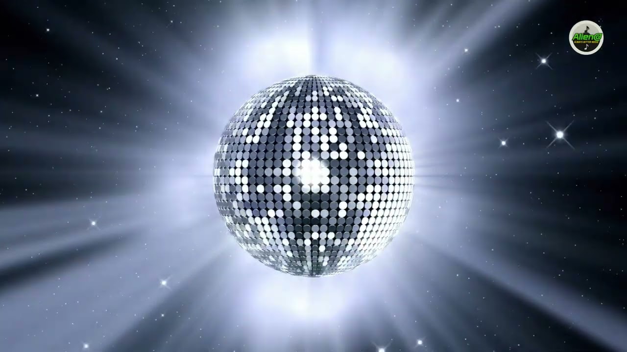 DISCO Vibe - EVERY DAY, EVERY NIGHT