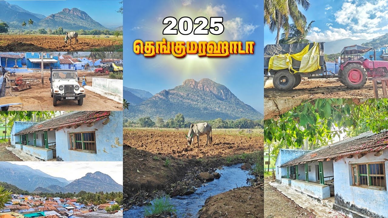 நடுங்க வைக்கும் தெங்குமரஹாடா பொதுமக்களுக்கு அனுமதி இல்லை thengumarahada village pongal festival 2025