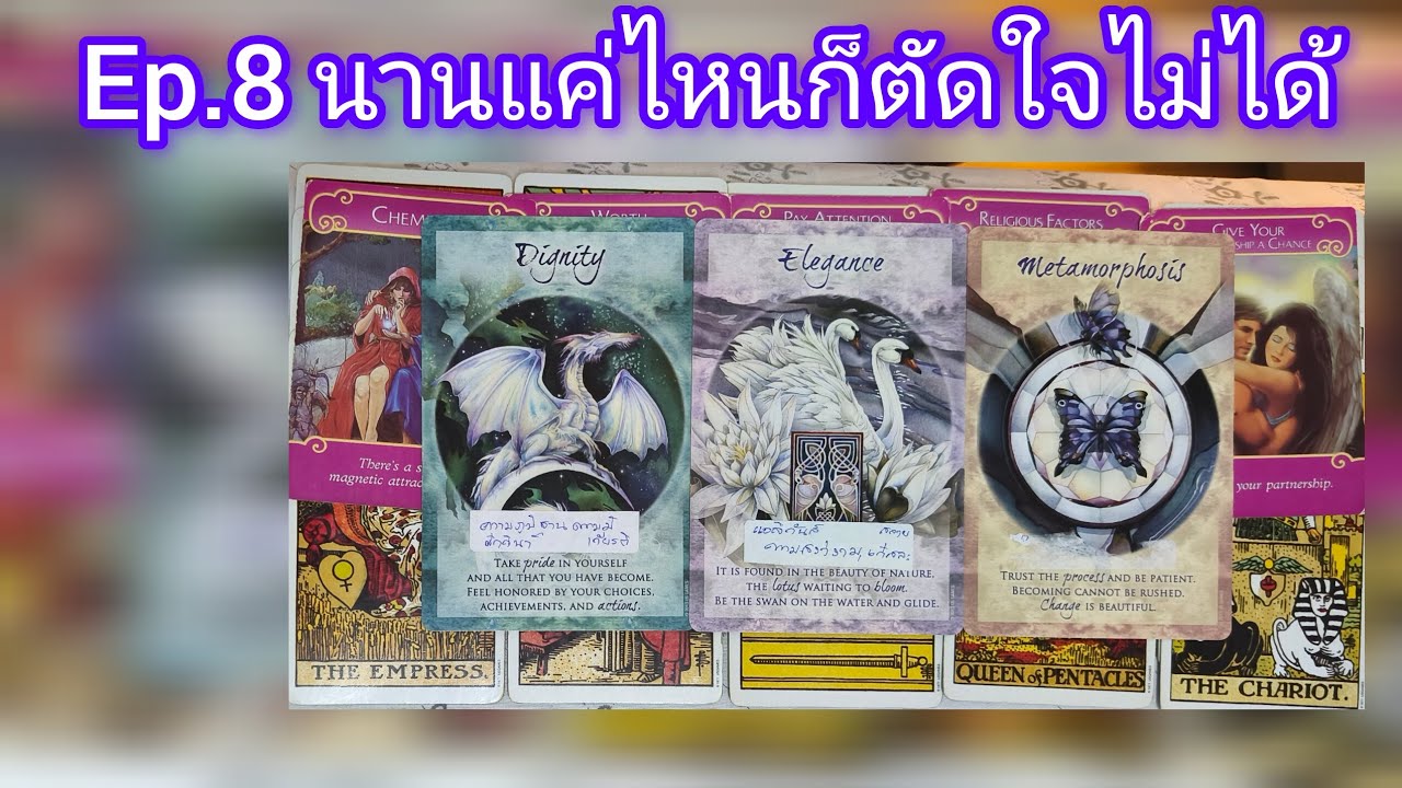 Ep.8 พลังงานคู่แท้ ยึดมั่นในความรักแท้ รู้คุณค่าในตัวเองและให้เกียรติตัวเองคือการเปิดทางรับรักแท้