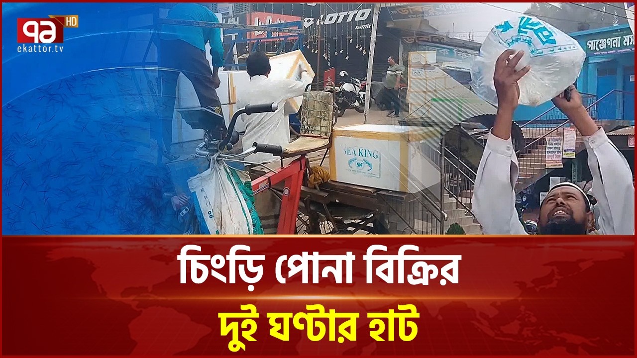 সাতক্ষীরায় চিংড়ি পোনা প্রতিদিন কোটি টাকার বেচাকেনা | Shrimp Renu | Satkhira | Ekattor TV