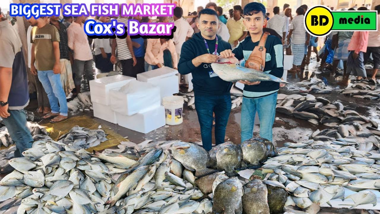 Biggest Sea Fish Market Cox's Bazar সামুদ্রিক মাছের বিশাল বাজার কক্সবাজার ফিশারি ঘাট