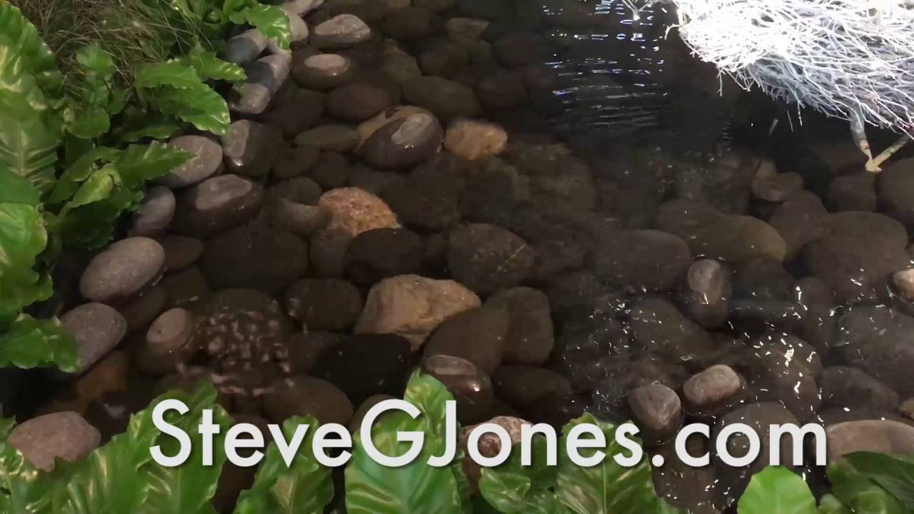Art of Listening Hypnosis Session - Dr. Steve G. Jones