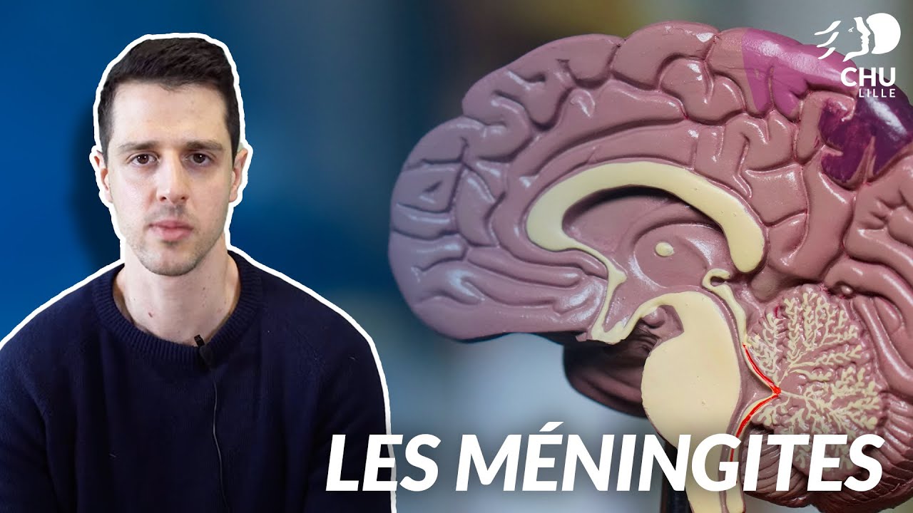 Les Méningites : C'est quoi ?