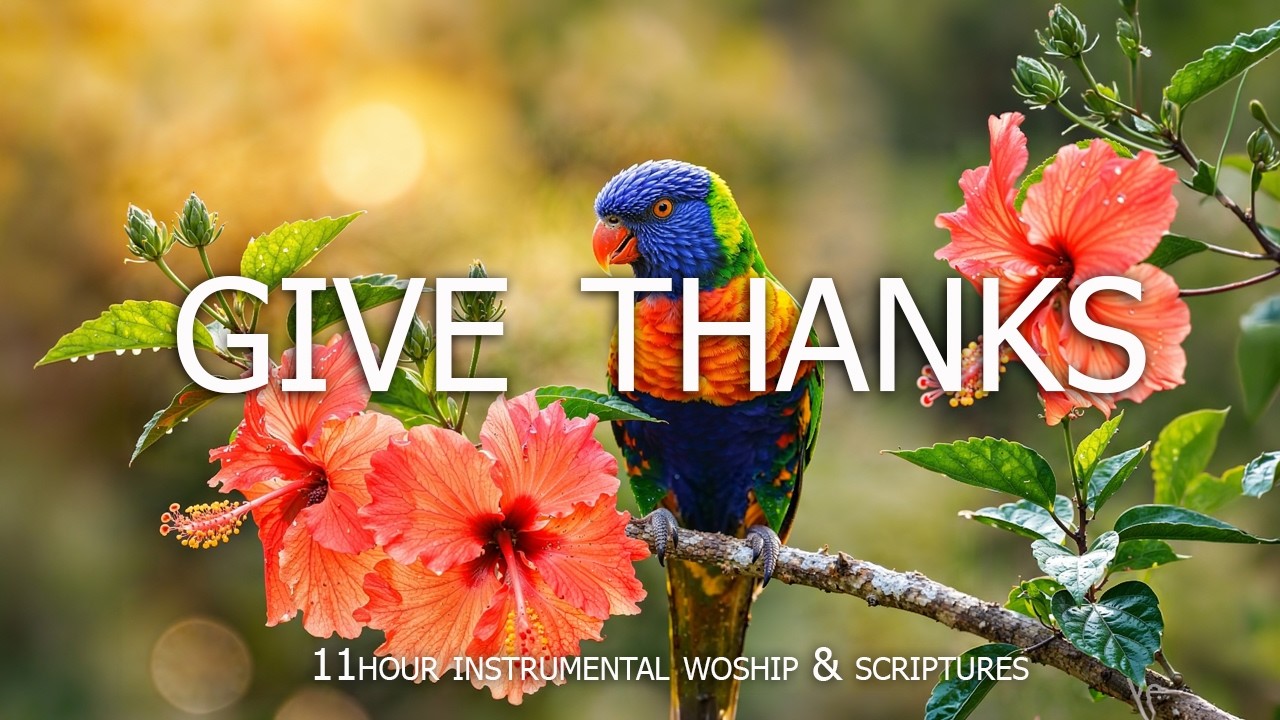 GIVE THANKS : Soothing Worship Piano & Inspiring Bible Verses With Beautiful Spring Cherry Blossom