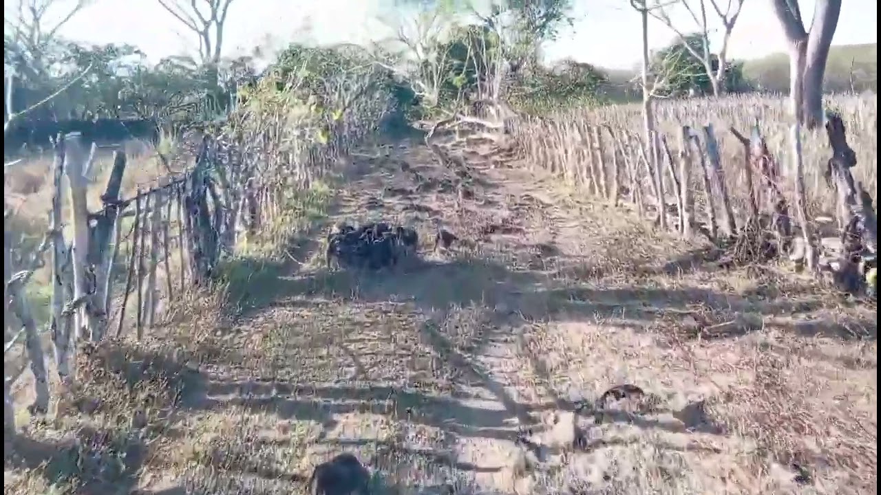 Rumbo a la  cienda vieja 