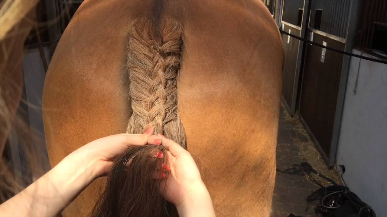 Hvordan man fletter halen