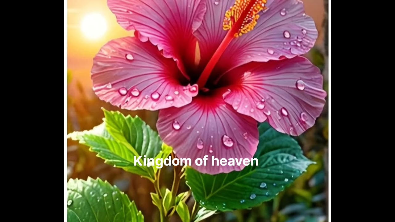 KINGDOM OF HEAVEN | ANITTA MATHIAS | 21 MAY 2025 | இலக்கை  நோக்கி தொடரு ங்கள்