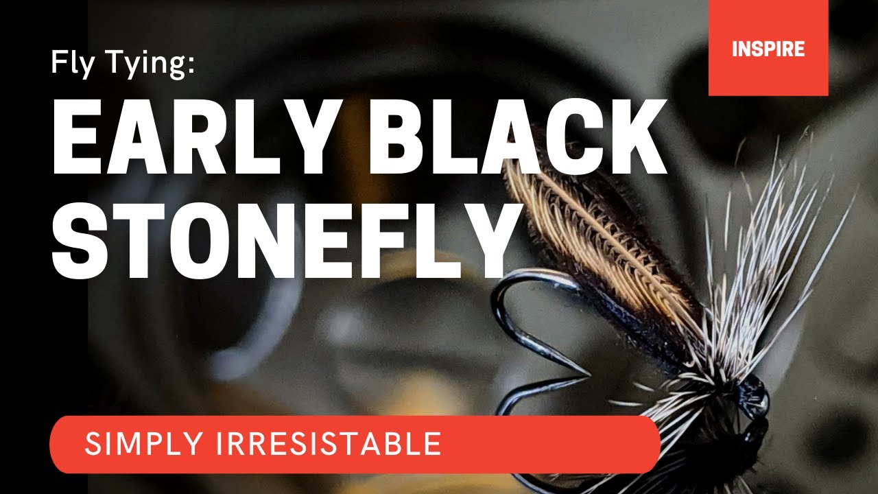 EARLY BLACK STONEFLY fly pattern