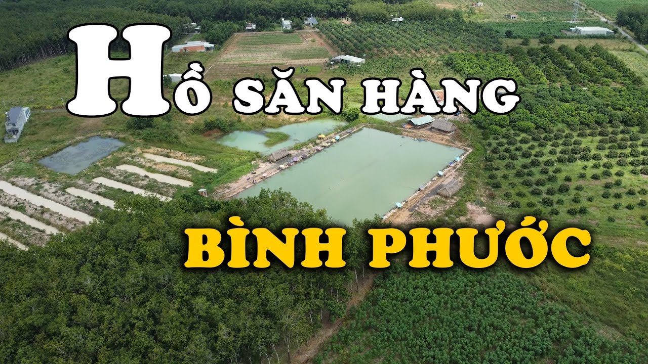 HẠT XẢ VÀ LINH ĐAN, TRẮM ĐEN LẬT VỢT THÍCH GÌ ĐÂY? | VIETNAM FISHING TV