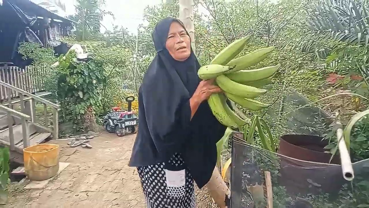 Alhamdulillah lumayan untuk bukan pusa ‼️