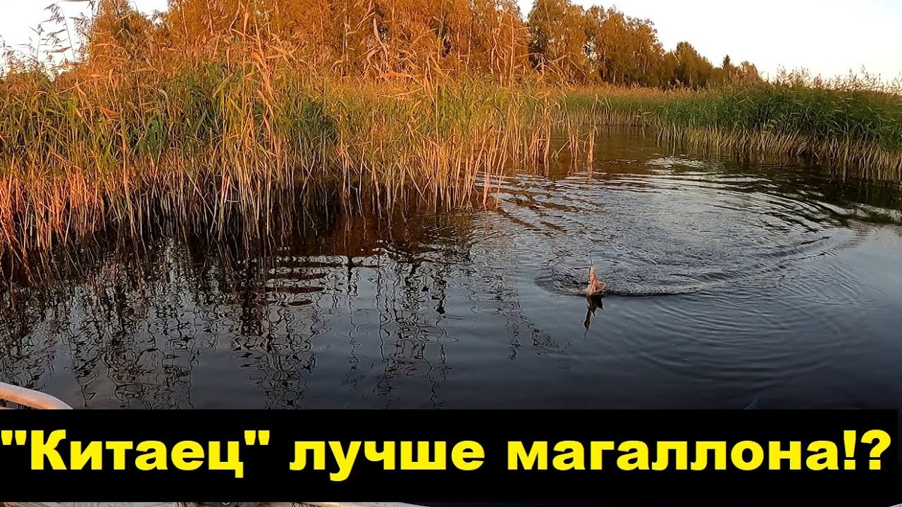 Дешевый китаец лучше Jackall