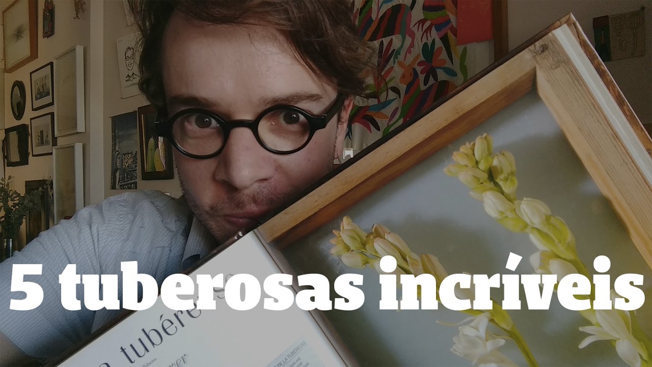5 tuberosas: perfumes florais para marcar presença! | Dênis Pagani