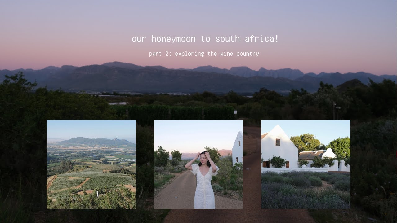 south africa honeymoon 🇿🇦 | part 2: exploring the wine country (boschendal, babylonstoren)