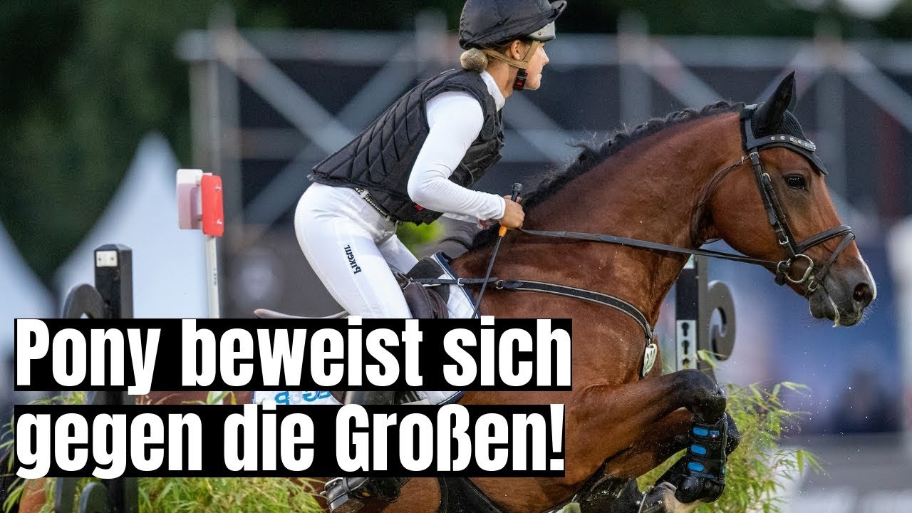 Pony unter Großpferden 💪🏼 | Kari Ingrid Gunzenhäuser & Ballinagore Bambi | CHI Donaueschingen