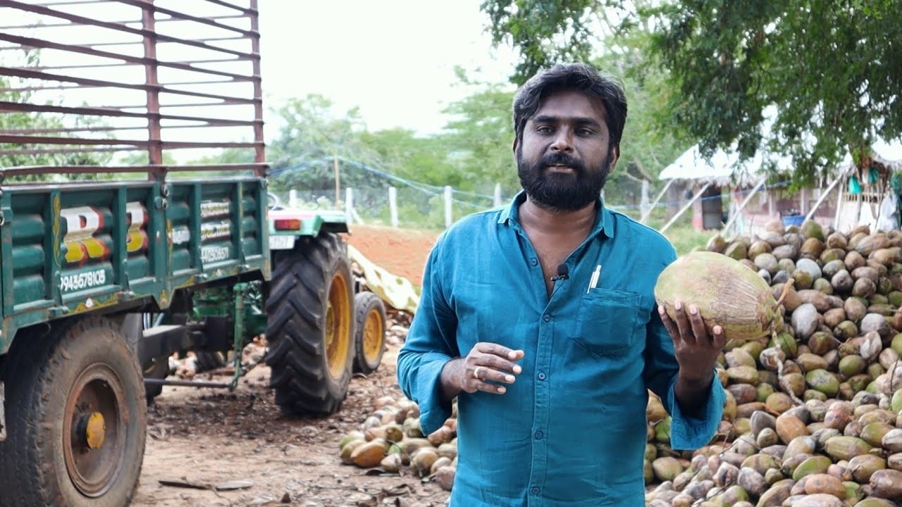 Coconut wholesale Business 🌴| குறைந்த investment அதிக profit 💯
