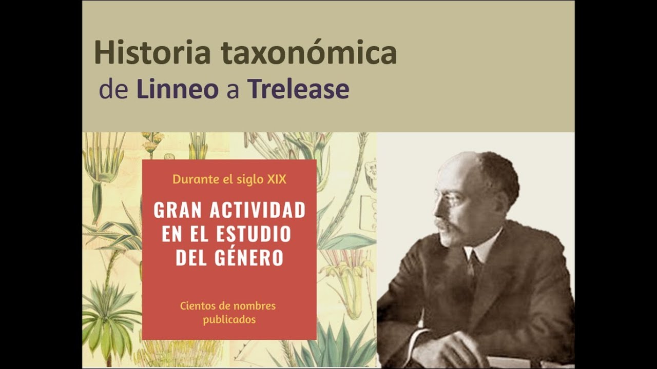 Taxonom&iacute;a y distribuci&oacute;n del g&eacute;nero Agave L  Asparagaceae en el estado de Veracruz