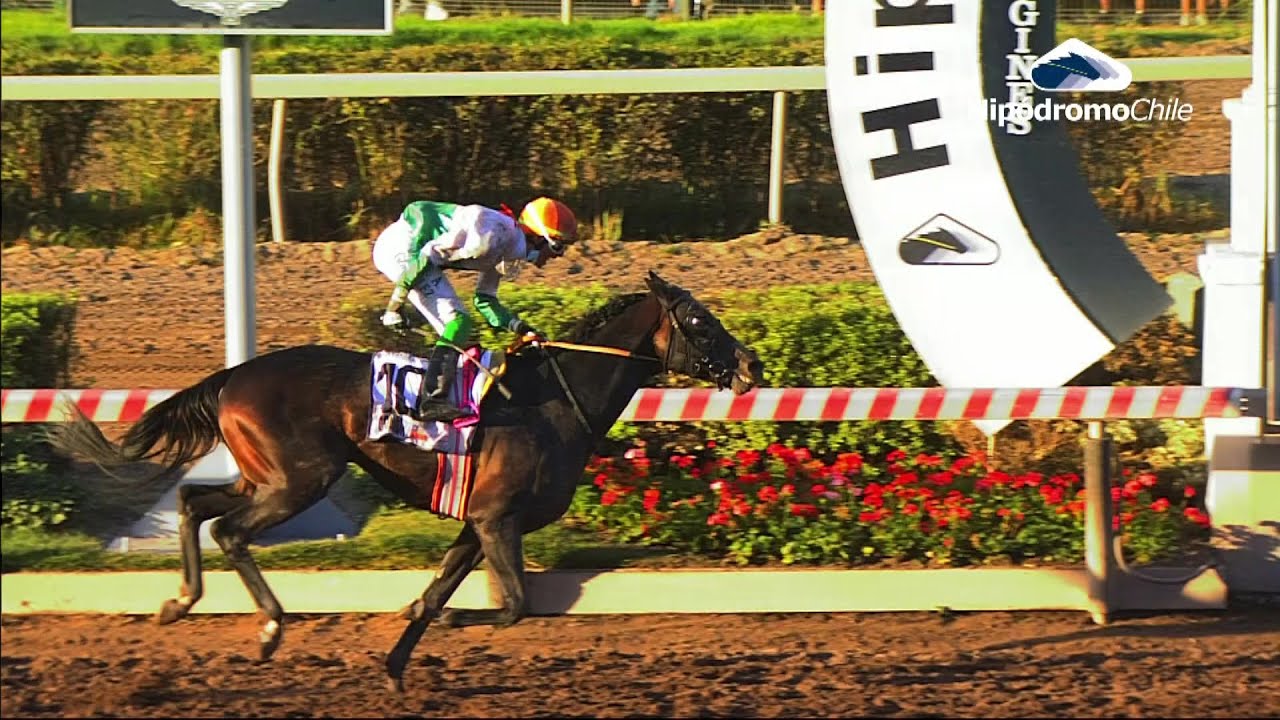 GRAN PREMIO LATINOAMERICANO G I  02/04/2022 HIPODROMO CHILE