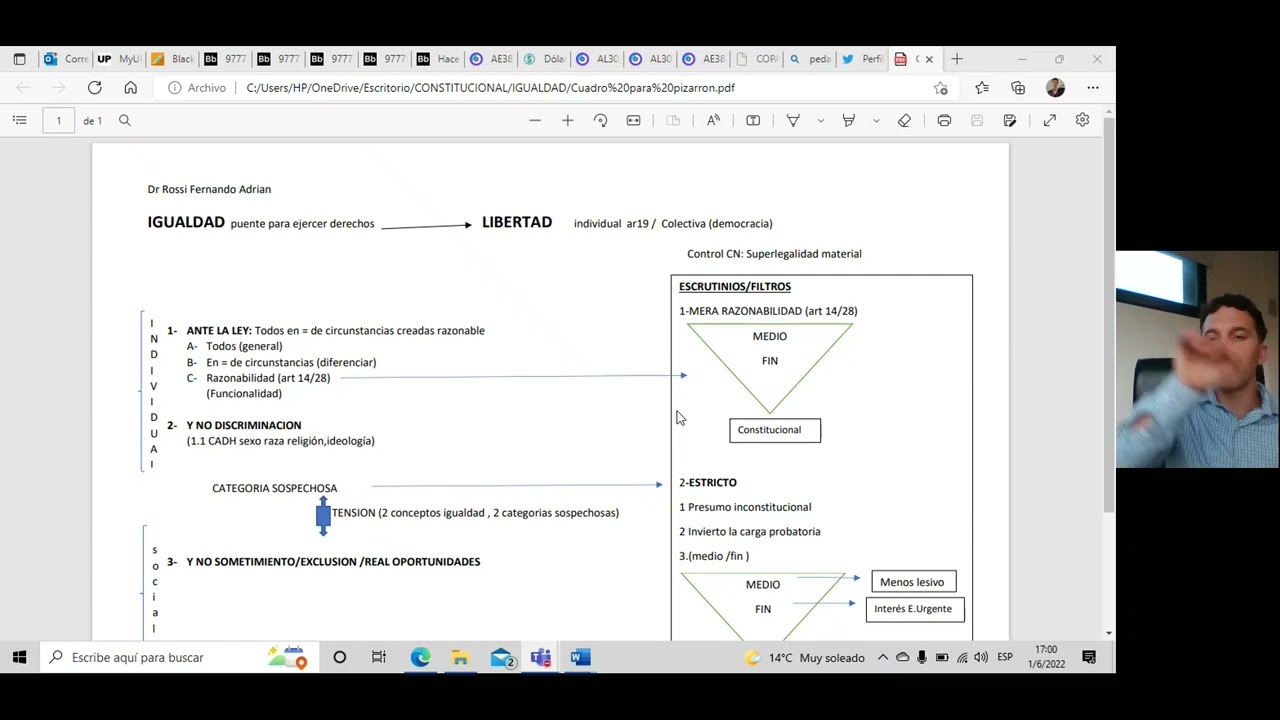 Derecho a la igualdad en la Constitución Argentina