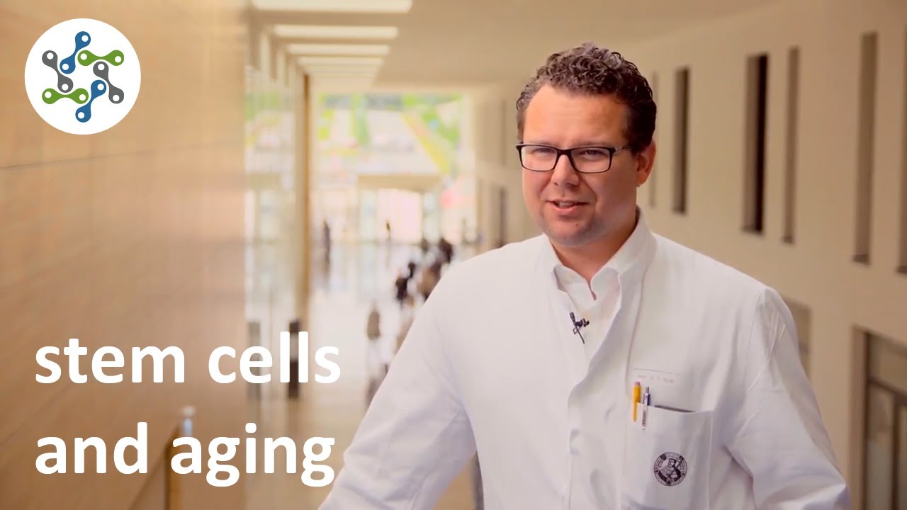 Stem cells and aging