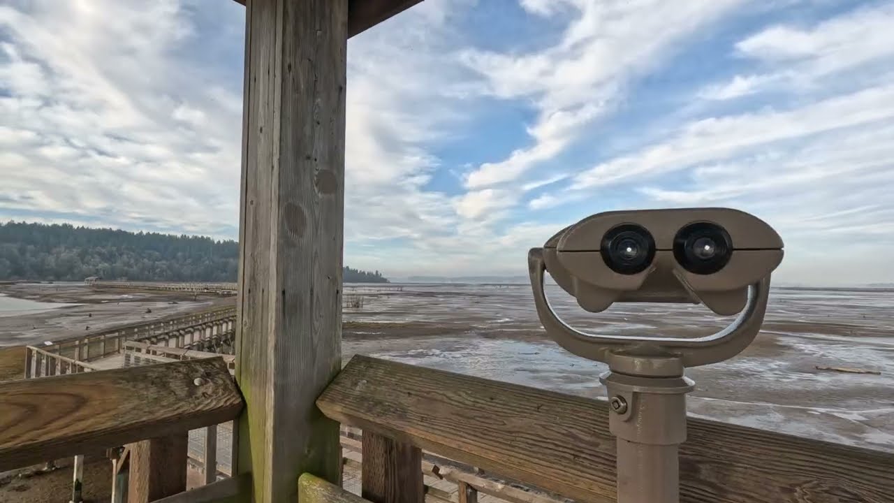 Birdsong & Boardwalks | Serene Nature Walk at Nisqually Wildlife Refuge (No Talking) 🌿