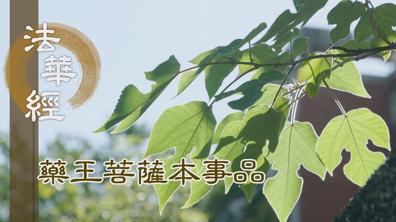 【靜思妙蓮華】 法華經 藥王菩薩本事品 - 空極覺滿 是真解脫 - 第1825集 20241210
