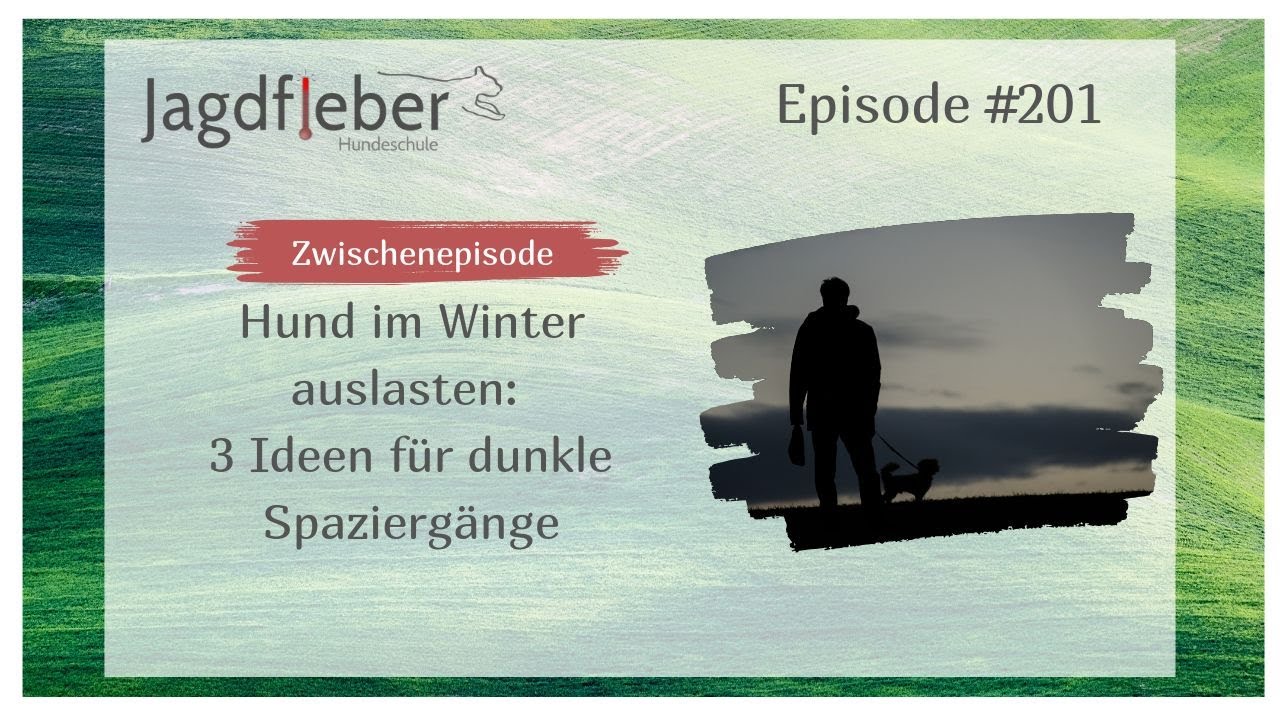 P201: Hund im Winter auslasten: 3 Ideen f&uuml;r dunkle Spazierg&auml;nge