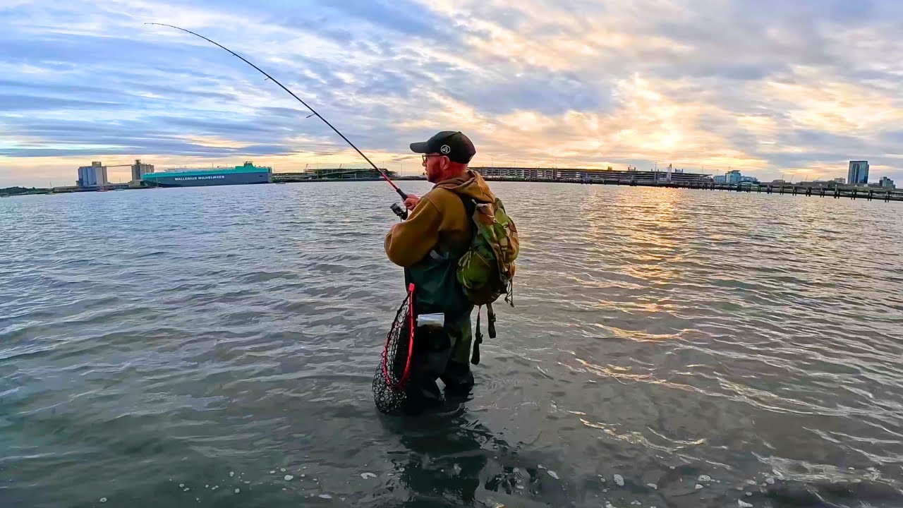 Lure Fishing For Bass - Southampton  - The Solent!