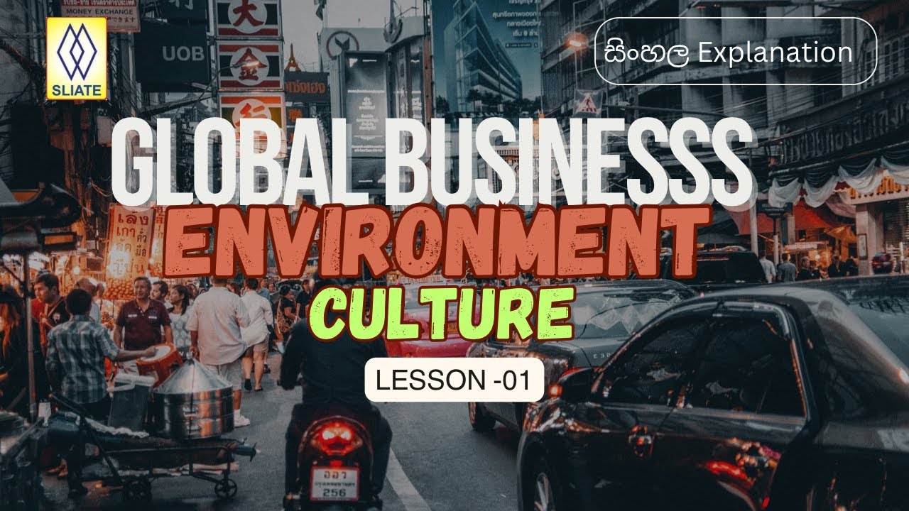 Global Business Environment | Culture | Lesson - 01 | HNDA | Sinhala Explanation