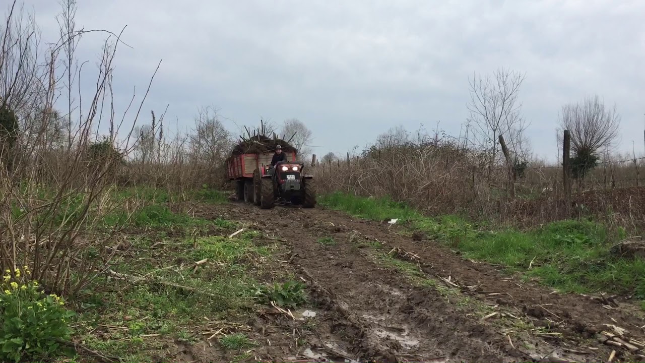 Massey 3635F ithal kalite farkı