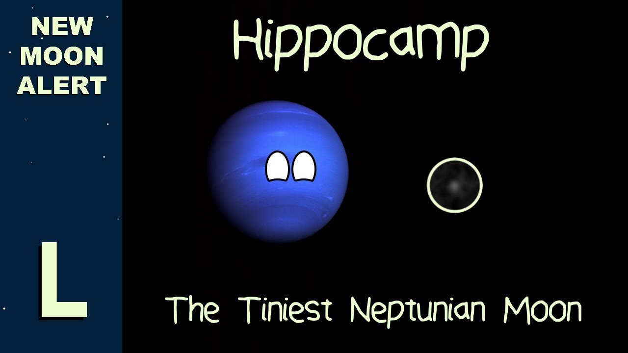 New Moon Alert: Hippocamp - The Tiniest Neptunian Moon